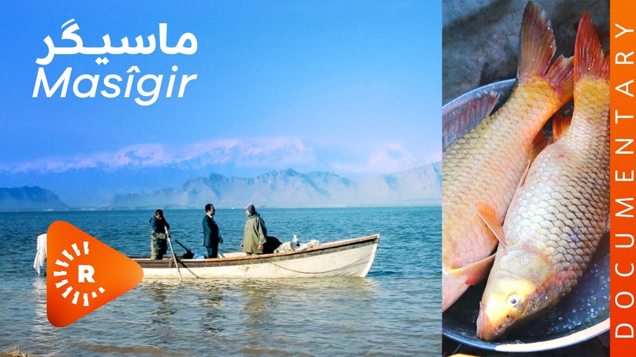 BelgeFilm- Masîgir | بەڵگەفیلم- ماسیگرەکان