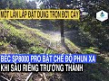 Béc SP8000 PRO bật chế độ phun xa khi sầu riêng ở giai đoạn trưởng thành