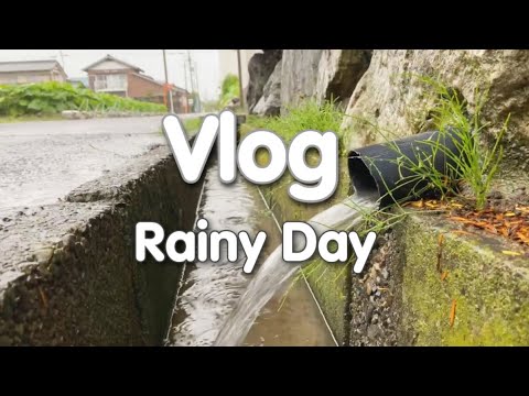 วีดีโอ: ฤดูฝนในญี่ปุ่น: อะไรจะเกิดขึ้น