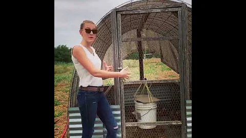 Animal welfare in rotational pastured poultry.