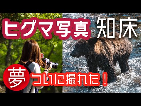 知床観光船　　ヒグマの撮り方【第1夜】知床で激レア動物大捜索！ここに行けば高確率で出逢える