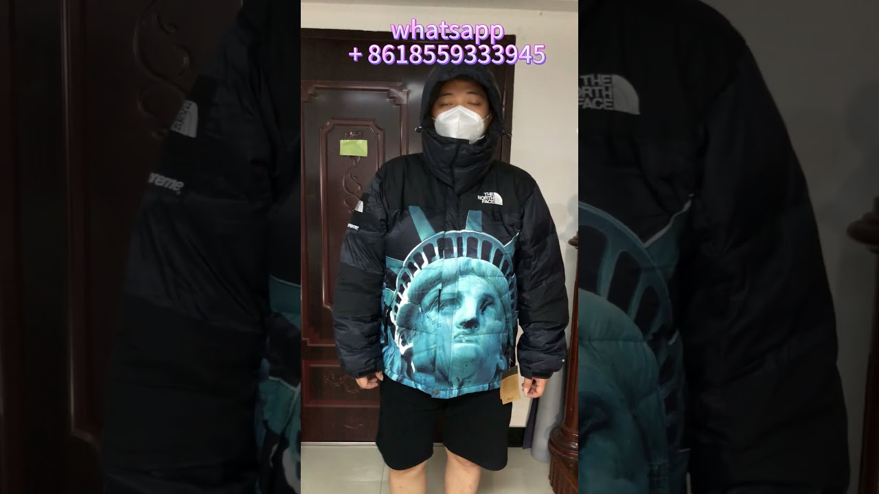 Supreme The North Face Statue of Liberty Mountain Jacket