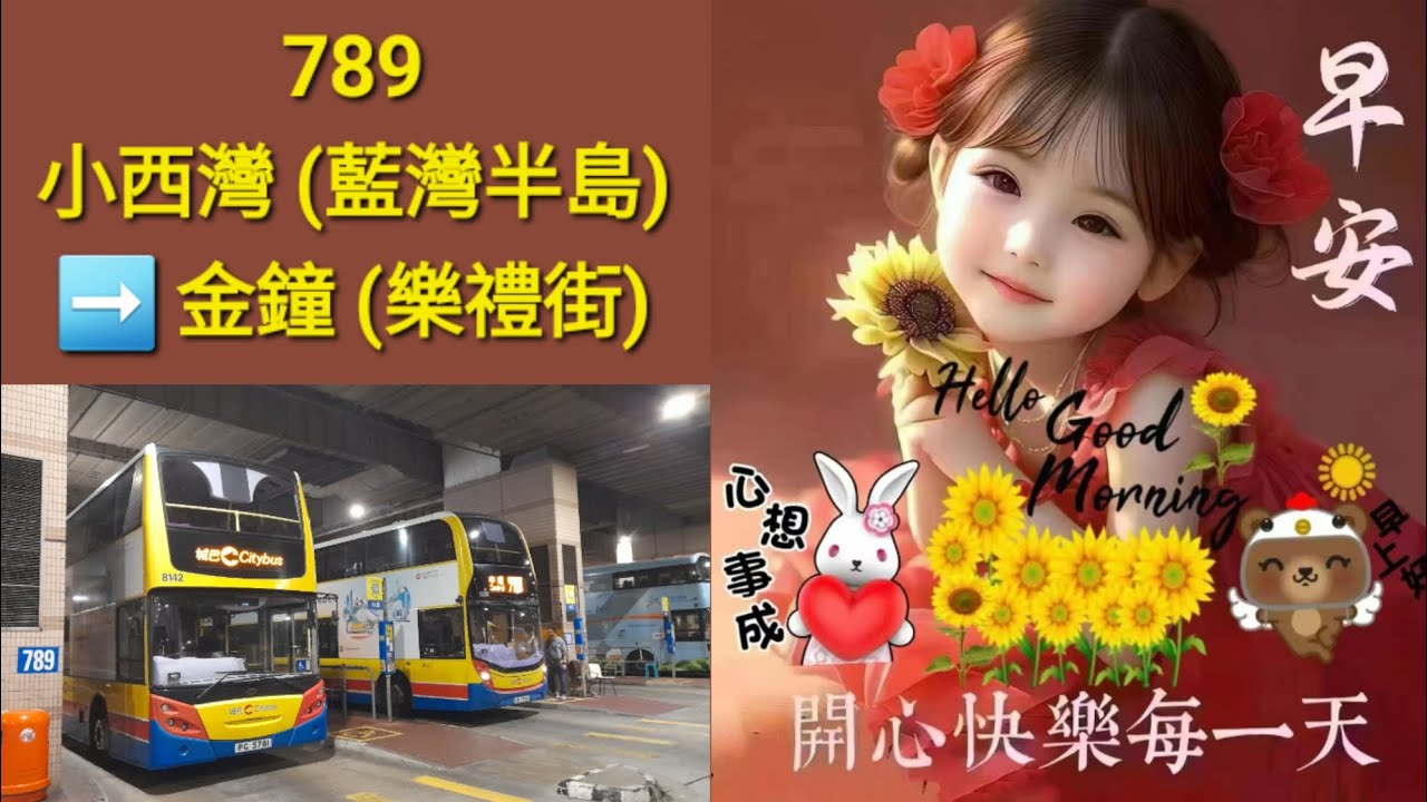 Hong Kong Bus CTB 8142 @ 789 城巴 Alexander Dennis Enviro500 小西灣(藍灣半島) 金鐘(樂禮街)