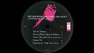 My Life with the Thrill Kill Kult – Burning Dirt