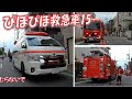 ピポピポきゅうきゅうしゃの歌15　消防車パトカー🚒🚑🚔