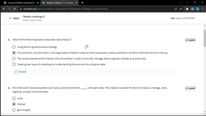 Google Data Analytics Professional Certification| Weekly Challenge 1 Answers |Data, Data, Everywhere