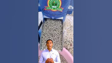 150-200kgh Corn Pellet making machine  #fcnfm #youtubeshorts