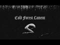 Atmospheric Black Metal Instrumental – Cold Forest Lament (Full Album)