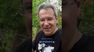 Você sabia que os PERSAS deixavam os CORPOS para serem devorados por ABUTRES?