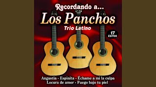 Video thumbnail of "Trio Latino - Echame a Mi La Culpa - Bolero"