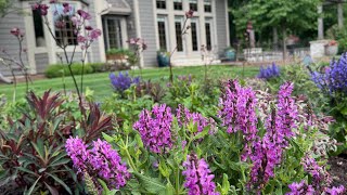 Transform an Empty Annual Garden Bed