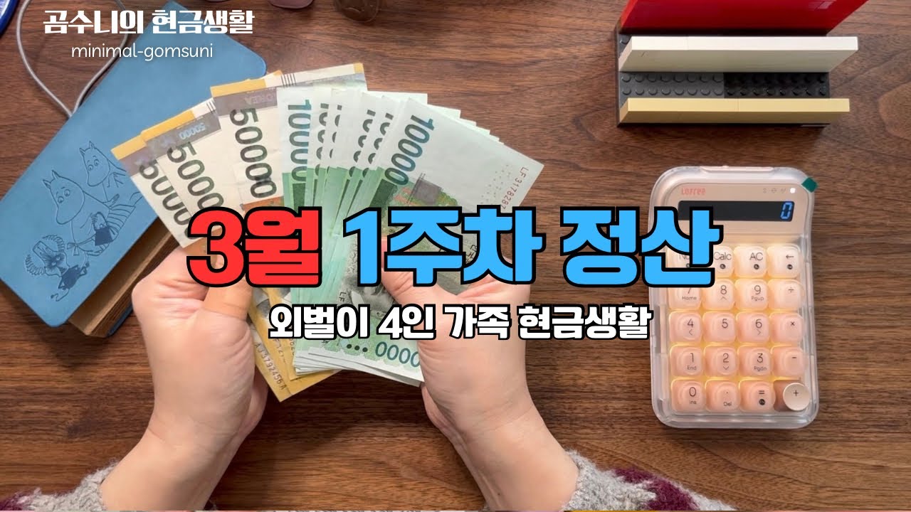 [곰수니 현금생활] 3월 첫주 정산 및 둘째주 예산짜기/ 부수입으로 치킨값 벌어오기
