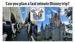 Podcast 204 - Can you book a last minute Walt Disney World vacation?