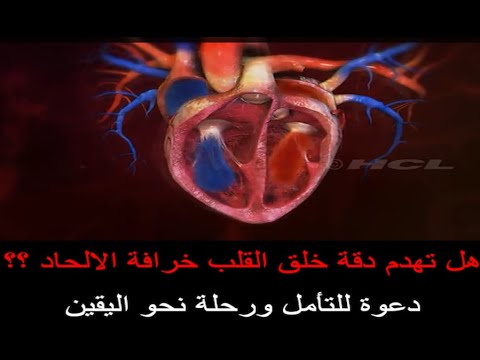 هل تهدم دقة خلق القلب خرافة الالحاد دعوة للتأمل ورحلة نحو اليقين