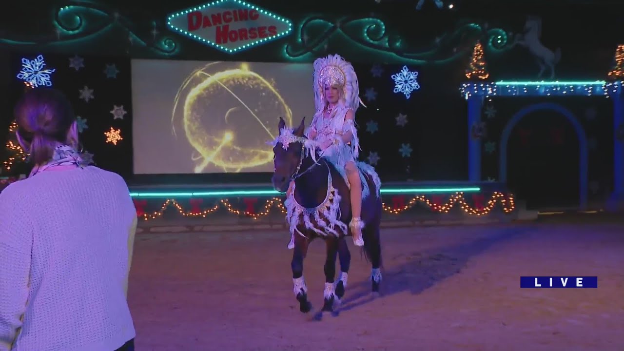 Around Town - The Dancing Horses - YouTube
