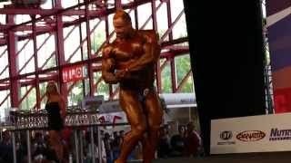 Wissam Ibrahim - Competitor No 673 - Final - Over 100Kg - Arnold Amateur Europe 2014