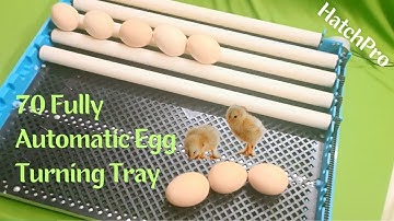 70 eggs turning tray for making fully automatic homemade egg incubator | Best automatic egg turner