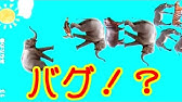 現在の最高レートがやばすぎるwww シロクマ をうまく扱える奴が勝つゲーム どうぶつタワーバトル Youtube 現在の最高レートがやばすぎるwww シロクマ をうまく扱える奴が勝つゲーム どうぶつタワーバトル Youtube