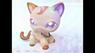 Mep collab lps ~ Dans mes rêves ft. darcknight lps