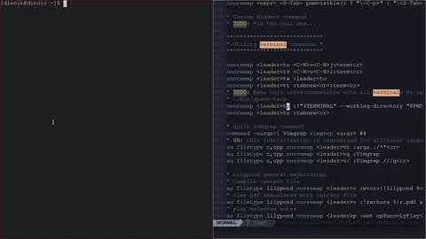 Useful Vim Terminal Hack