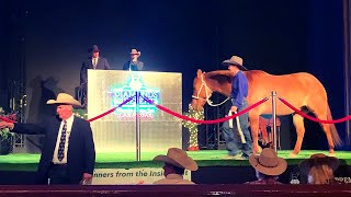SOLD  TOP SELLING HORSE SOLD FOR 250,000