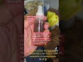 Visita mi canal y has tu perfume natural antiguo.