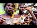 Raiding a baboon camp with hadza huntergatherers in tanzania