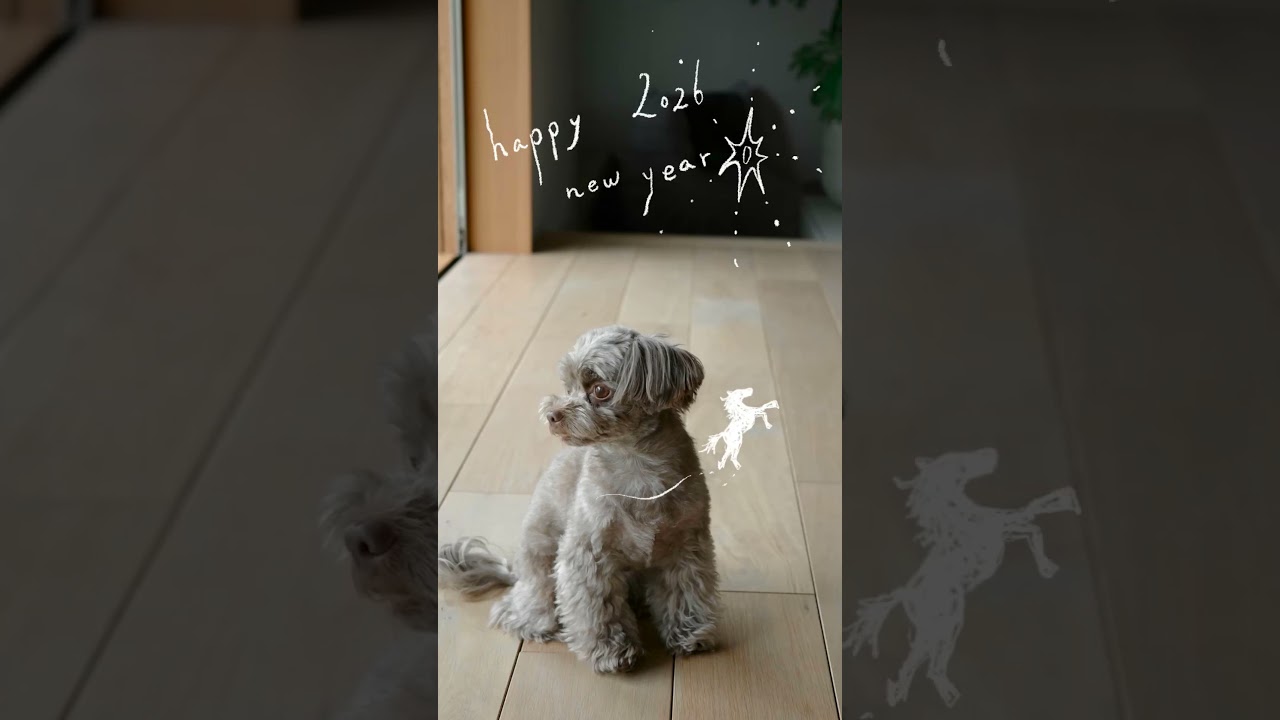 happy new year 2026🎍 #shorts #happynewyear #2026 #元日