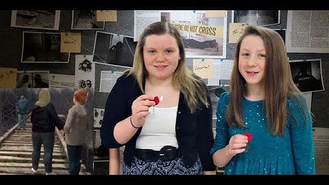 Bed Crime Stories Richard Allen as Bridge Guy: Nice Man or Psychopath?