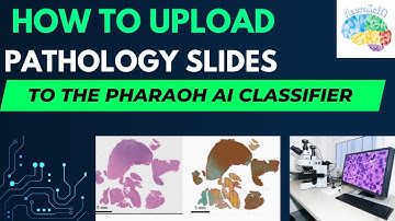 How to Upload Pathology Slides to the PHARAOH Classifier