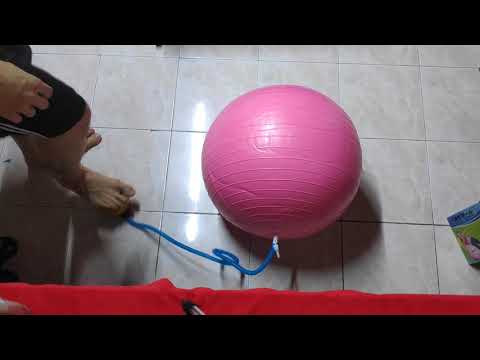 Review!!! รีวิวการสูบลมบอลโยคะ Yoga Ball 65cm