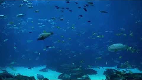 سورة النبأ ما تيسر منها للقارئ الشيخ / محمد رفعت رحمه الله تعالى