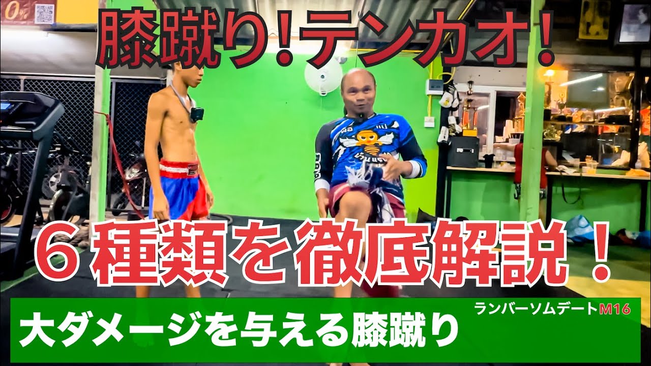 Fairtex ヘッドギア　twins YOKKAO windy 井上尚弥 Fairtex ヘッドギア twins YOKKAO windy 井上尚弥 - メルカリ