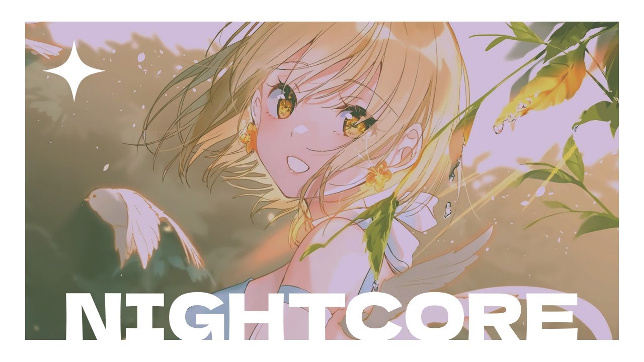 ☽ Nightcore – Reason (Jammin' the Shit remix edit)