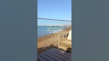 لا اله الا الله ❤️#القرآن_الكريم #الشيخ_مشاري_العفاسي #تلاوة_خاشعة #المصحف #explore #اكسبلور #short