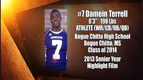 Damien Terrell Photo 5