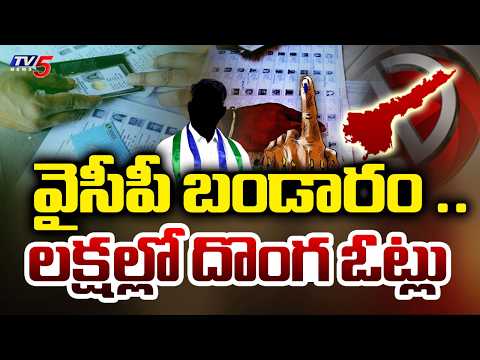 వైసీపీ దొంగ ఓట్ల గుట్టు | SIR Exposed YSRCP Fraudulent Votes in Rayalaseema District | Kadapa | Tv5 - TV5NEWS