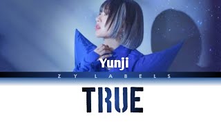 TRUE cover by YUNJI #zylabels #yunji #true #mydemon