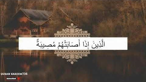 سورة بقرة  لقارئ احمد العجمي ، حالات واتس اب الدينية.
