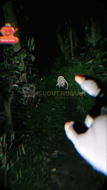 WADUH❗️ITU DEMIT APAAN WOY😱 #trending #shorts #jin #ghost #creepy #misteri #hororkomedi #lucu
