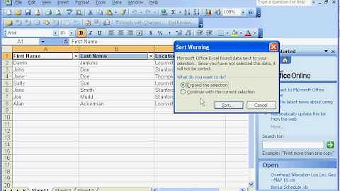 SAY GEEK - SORTING AND FILTERING - EXCEL 2003