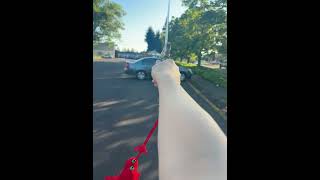 Taichi Sword New Learner