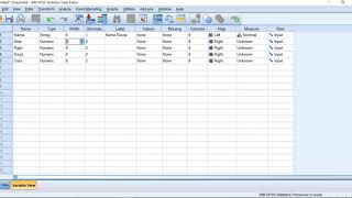 Match Highlights Input Data to SPSS 20