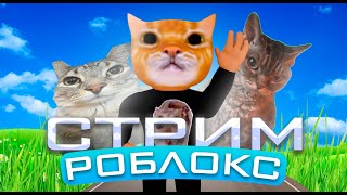 СТРИМ РОБЛОКС 🎮 РОЗЫГРЫШ РОБУКСОВ 🆓 #shorts