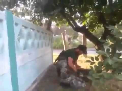 უკრაინიაააში ჩეჩნები იბრძვიან