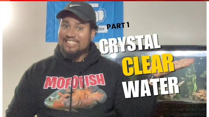 The RIGHT Way to Clean Your Hang-On-Back Filters (Beginner-Friendly Guide)