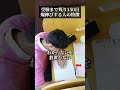 9月に偏差値を上げる人の特徴 #受験勉強 #秋 #定期テスト対策 #高校受験 #9月 #中学生