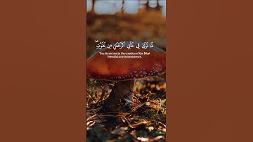 تلاوه خاشعه #trendingvideo #ايقنت #المصحف #duet #اكسبلور #راحة_نفسية #ورك #اعتني