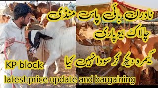 Notheran by pass mandi || chota mall price update and bargaining KP block #mandi