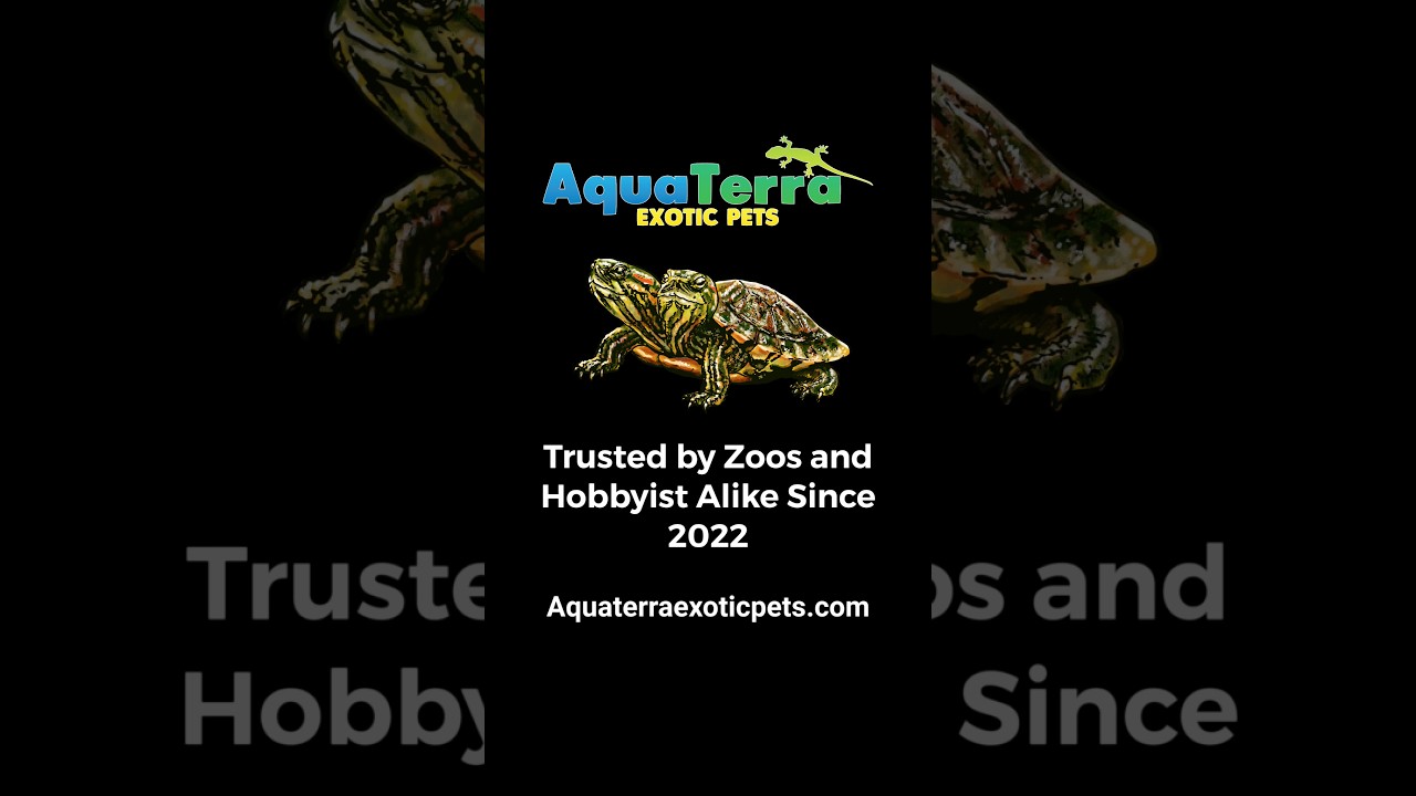 AquaTerra Exotic Pete!